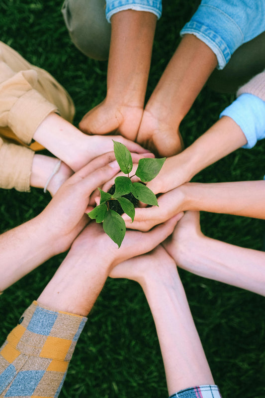 Finding Your Tribe: The Power of True Belonging